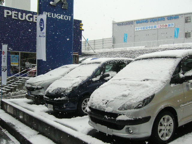 雪