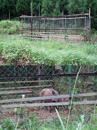 私の夏季休暇