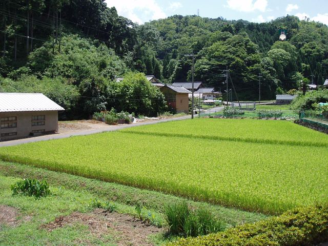 私の夏季休暇