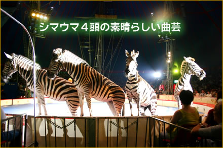 木下大サーカス