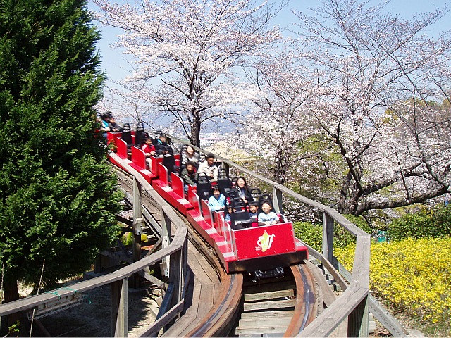 ひらパー