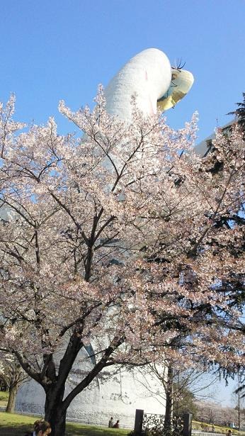 お花見