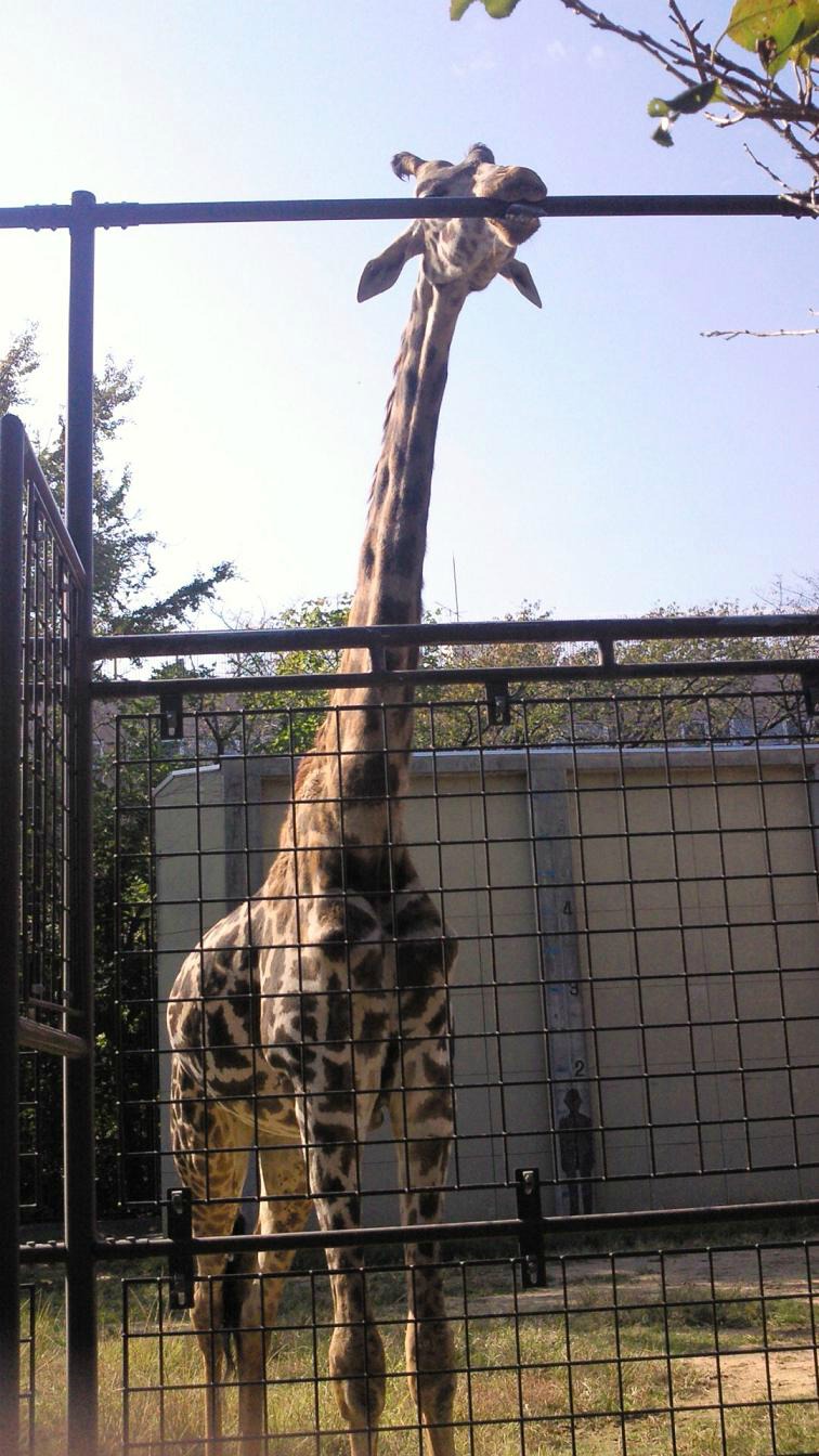 動物園
