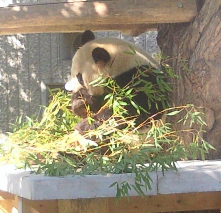 動物園