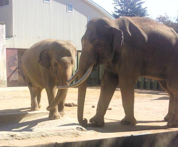 動物園
