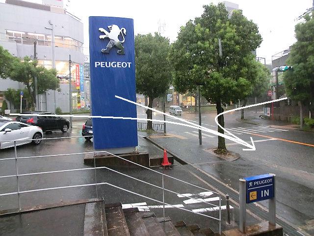 大雨