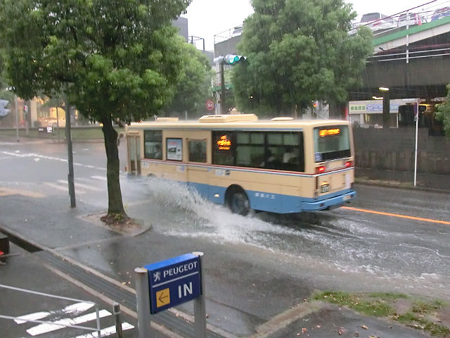 大雨