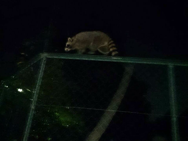 奈良県東大寺にいってきましたよ！！