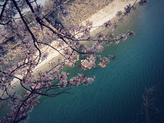今年はひどい・・・