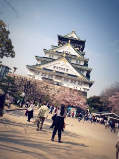 今年はひどい・・・
