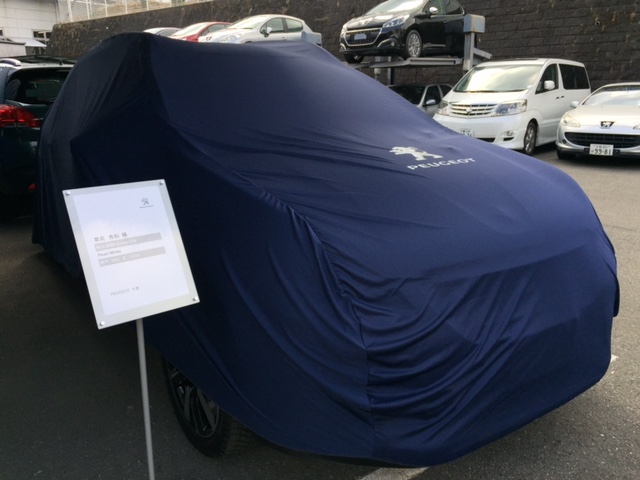 New 2008 Cross City