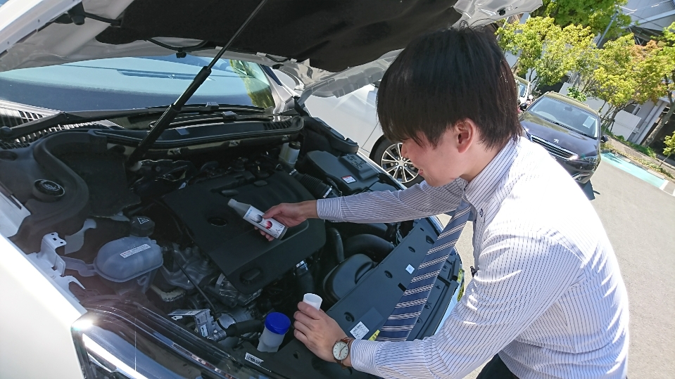 新商品「bAu」のご紹介