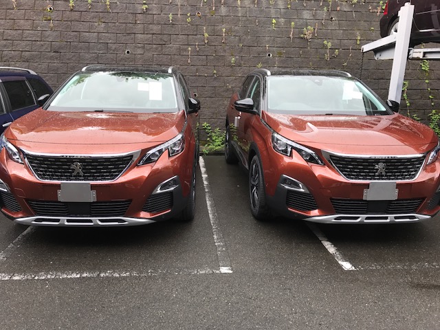 ☆双子の３００８です☆