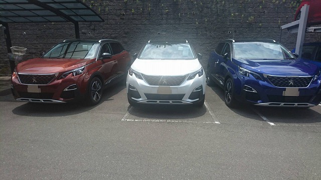 ☆３００８三兄弟です☆