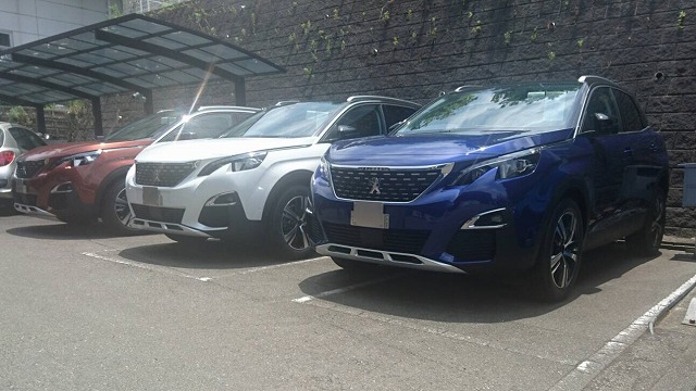 ☆３００８三兄弟です☆