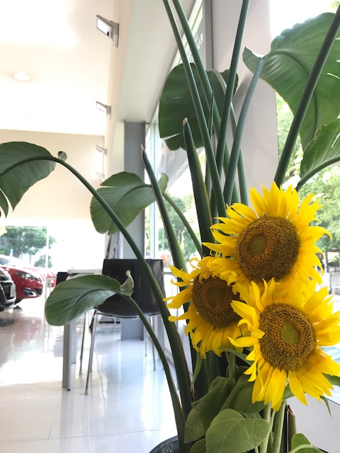 ☆お客様から「夏」いただきました！☆