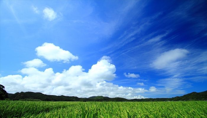 本日プジョー千里店定休日です。