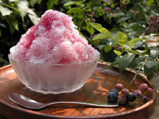 本日プジョー千里店定休日です。