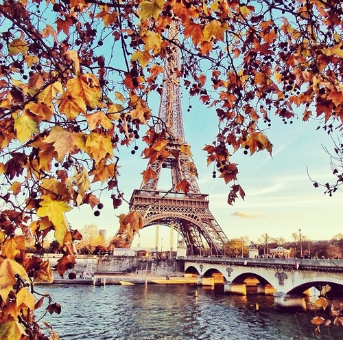 本日プジョー千里店定休日です。