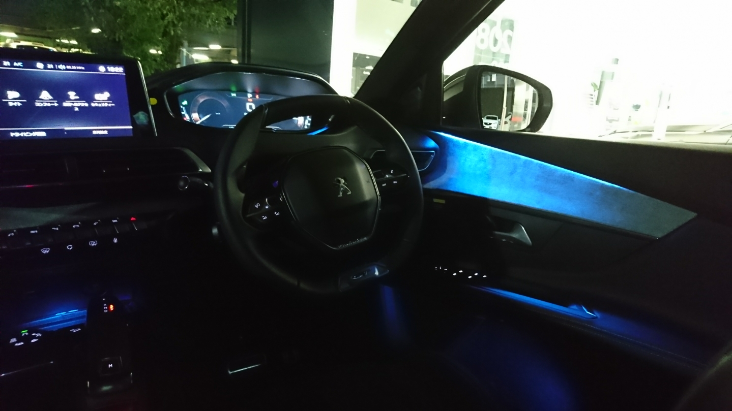 New3008/New5008の夜・・・