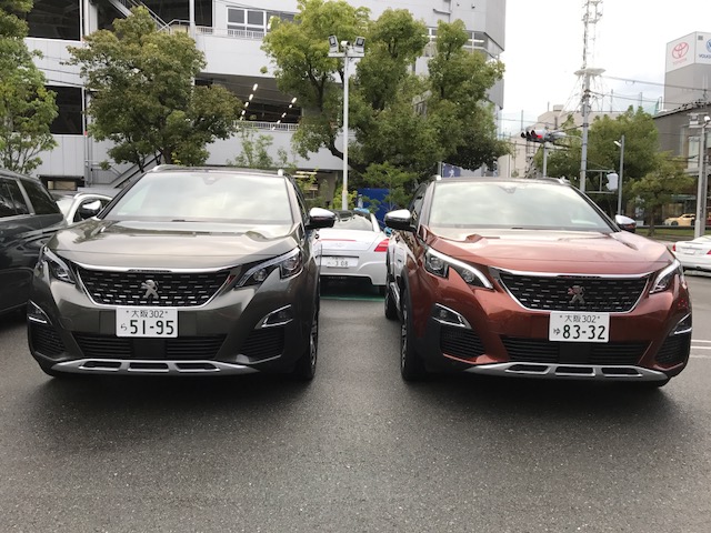 どっちがどっち？？