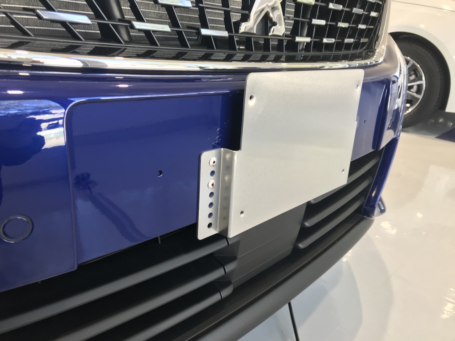 隠れライオンその２