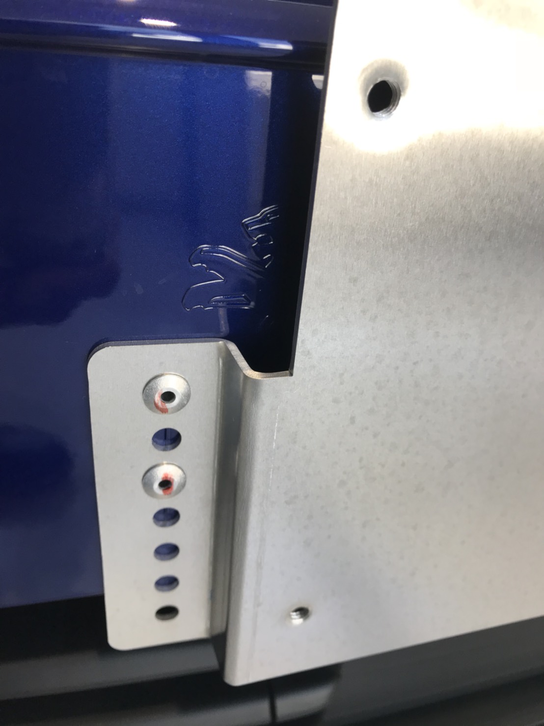 隠れライオンその２