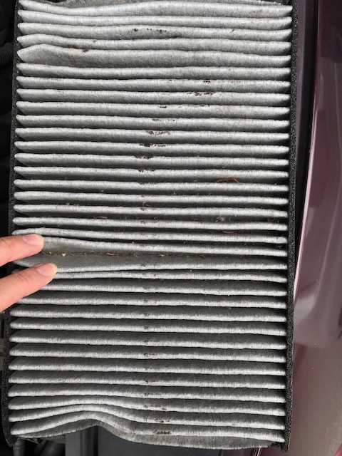 エアコンフィルターキャンペーン