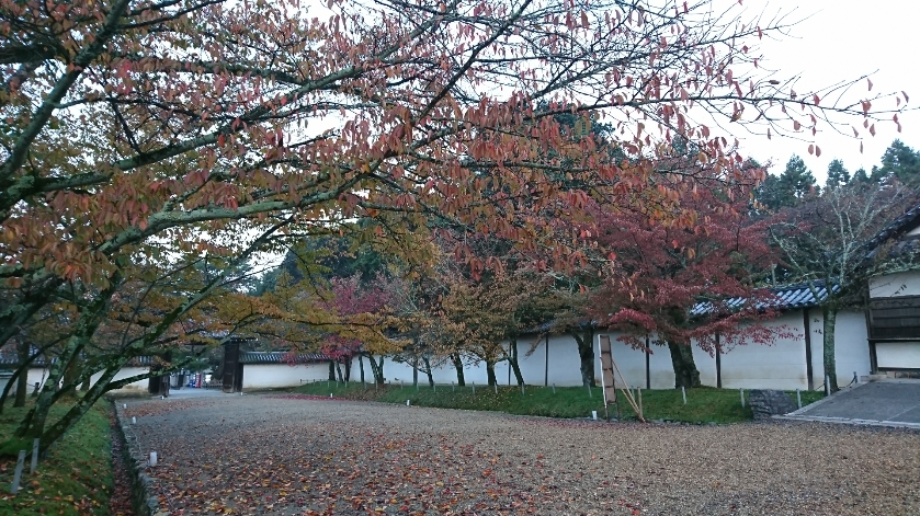世界遺産京都醍醐寺２日間の寺修行