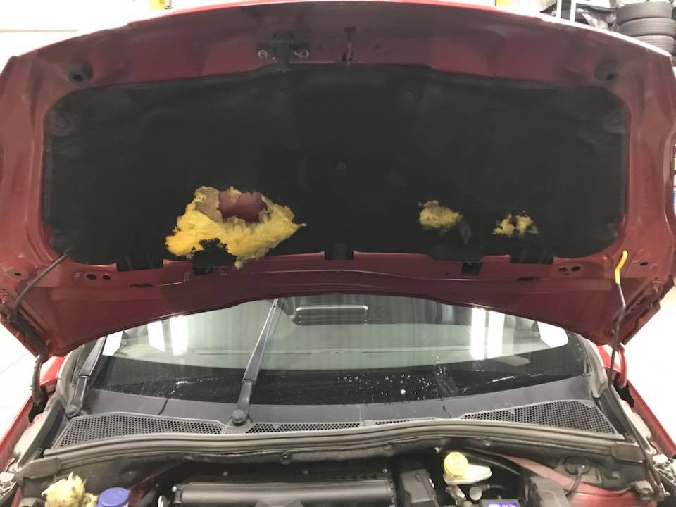 猫バンバンのススメ