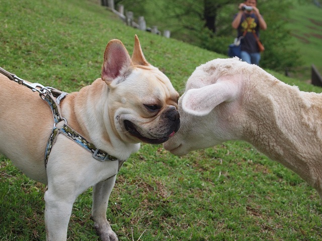 耳寄りなおはなし