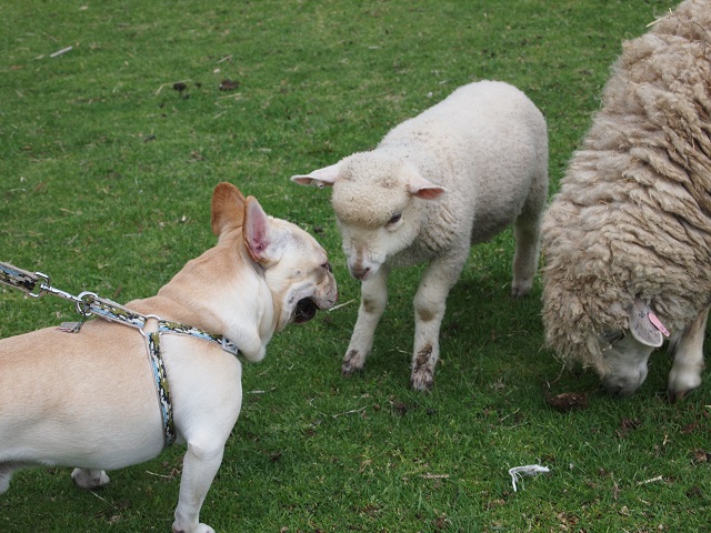 耳寄りなおはなし
