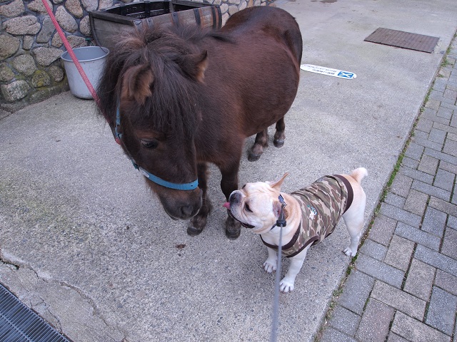 夏季休業のおしらせ