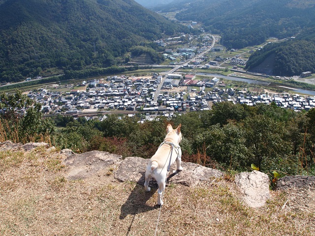 夏季休業のおしらせ