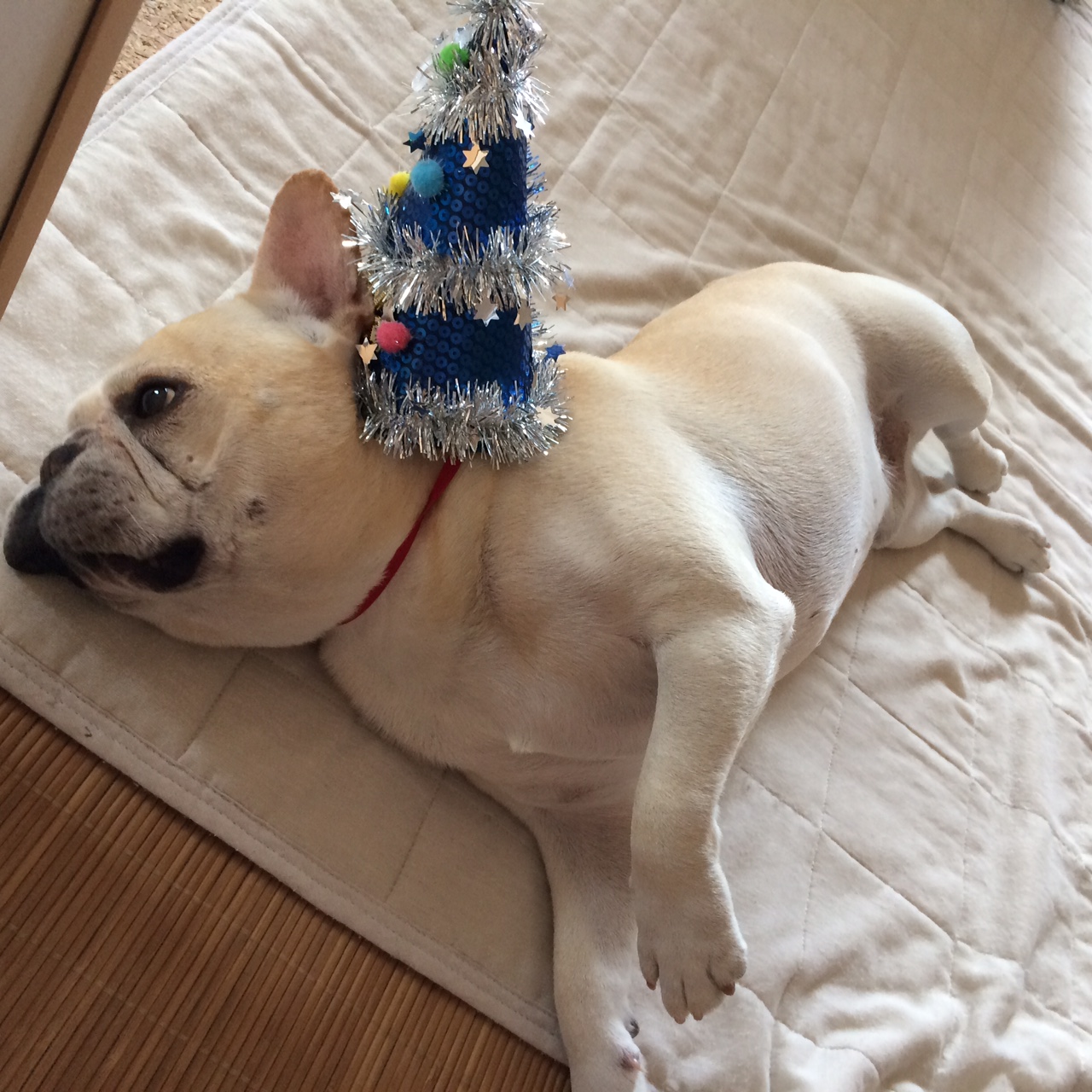 夏季休業のおしらせ