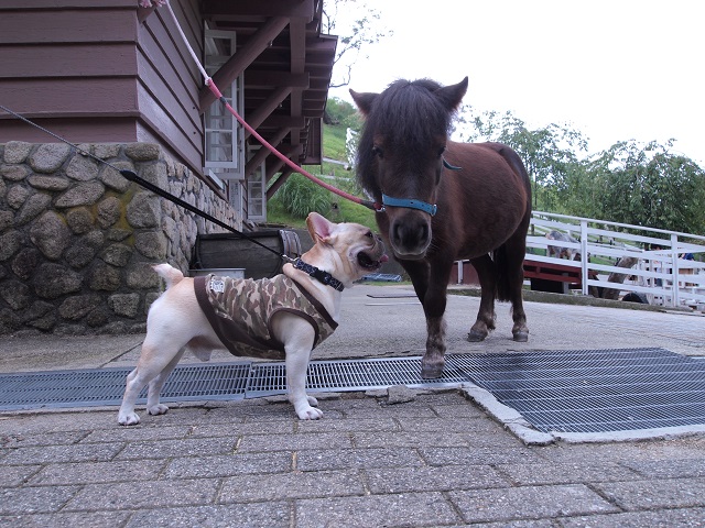 夏季休業のおしらせ