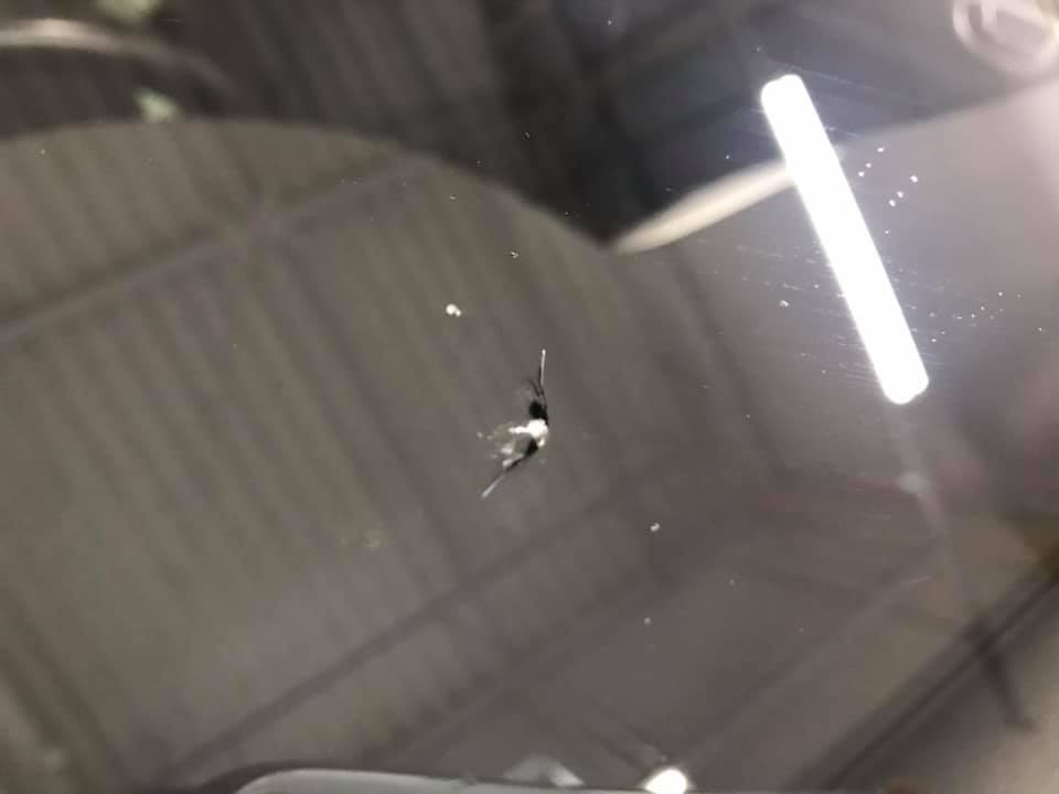 飛び石補修