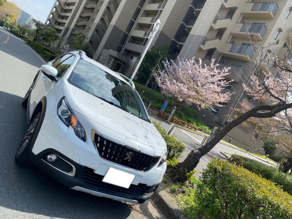 PEUGEOT2008ALLURE