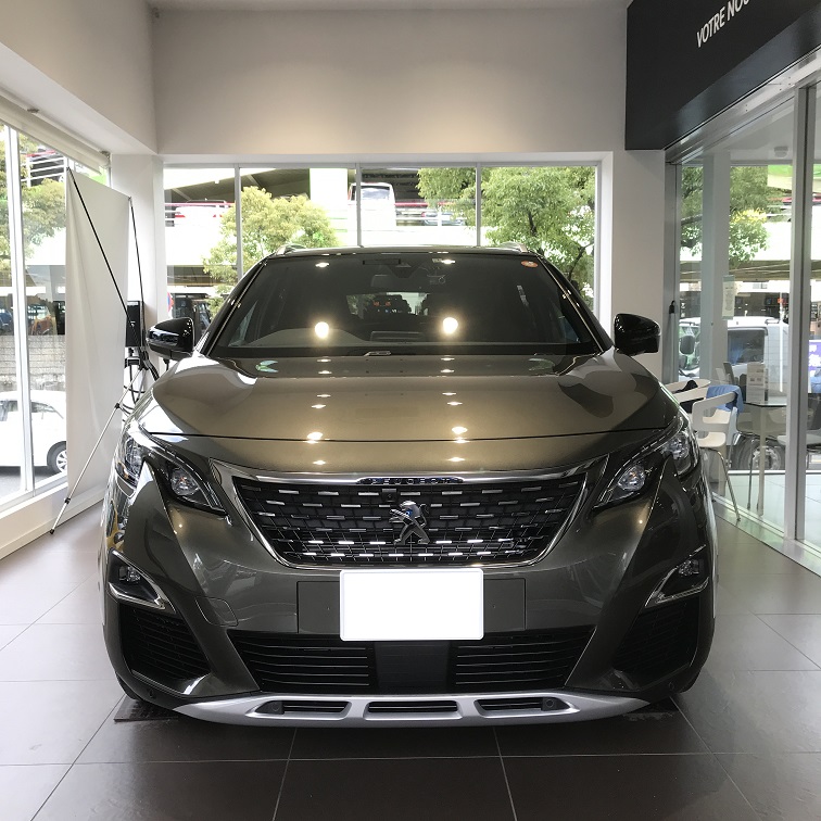 PEUGEOT3008GT LINE First Class Package