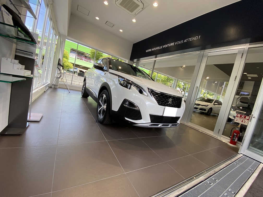 3008Cross City BlueHDi