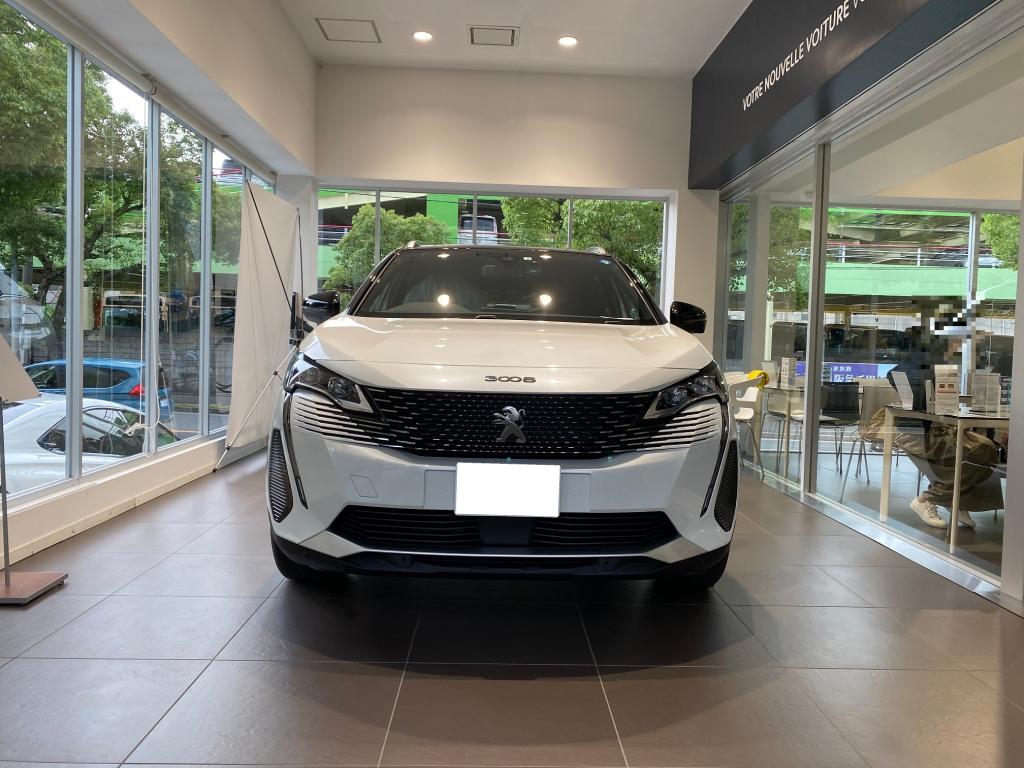 PEUGEOT 3008 GT BlueHDi 