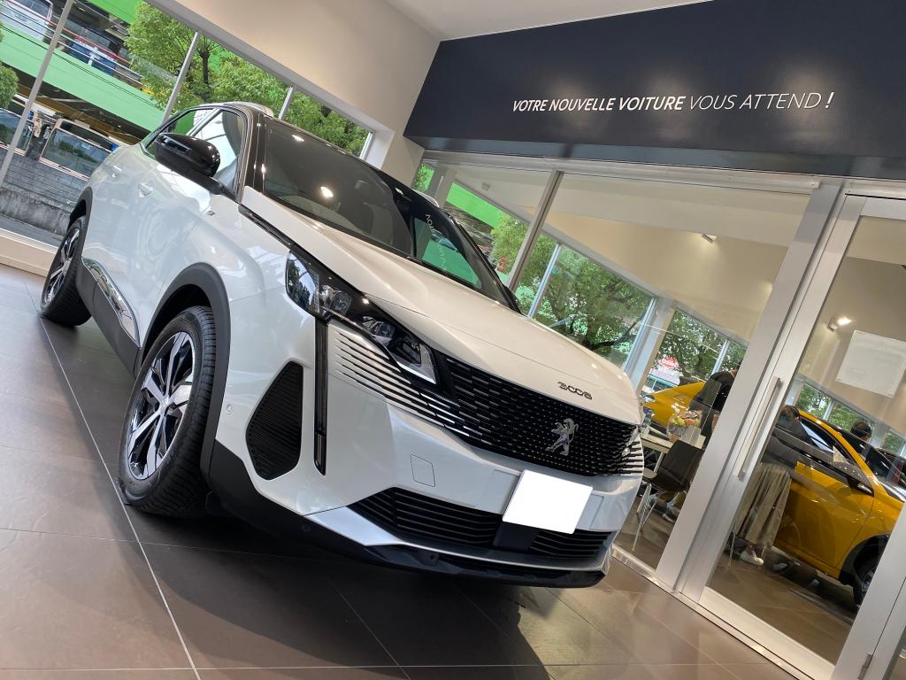 PEUGEOT 3008 GT BlueHDi 