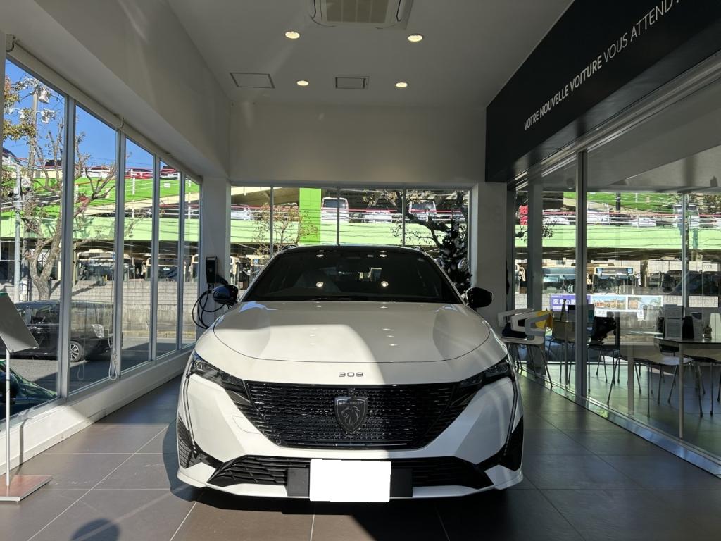 PEUGEOT 308SW GT BluHDi