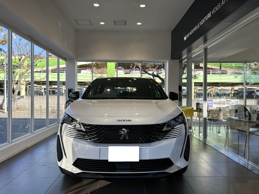 PEUGEOT 3008GT BlueHDi S/R