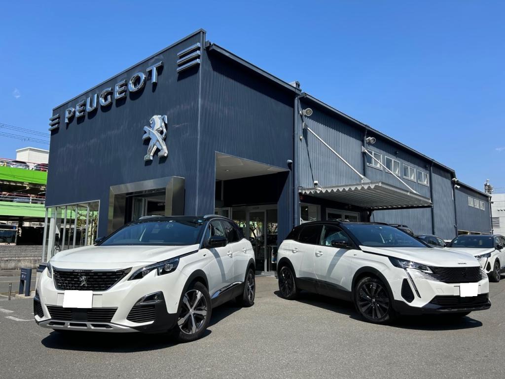 PEUGEOT 3008 GT BLACK PACK