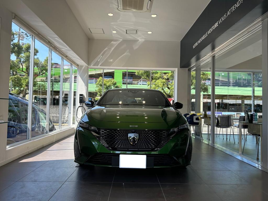 PEUGEOT 308GT BlueHDi