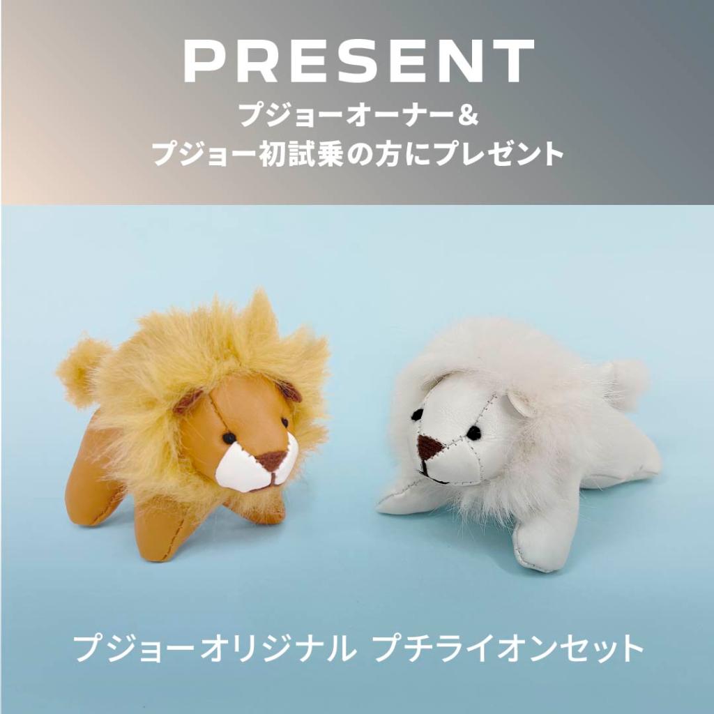 🚗🌸🚗🌸プジョーを操る悦び、体感試乗キャンペーン🚗🌸🚗🌸