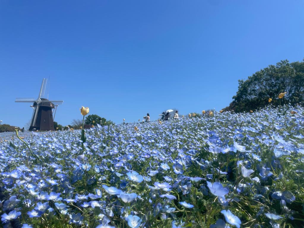 Vivre avec Peugeot～プジョーのある暮らし～